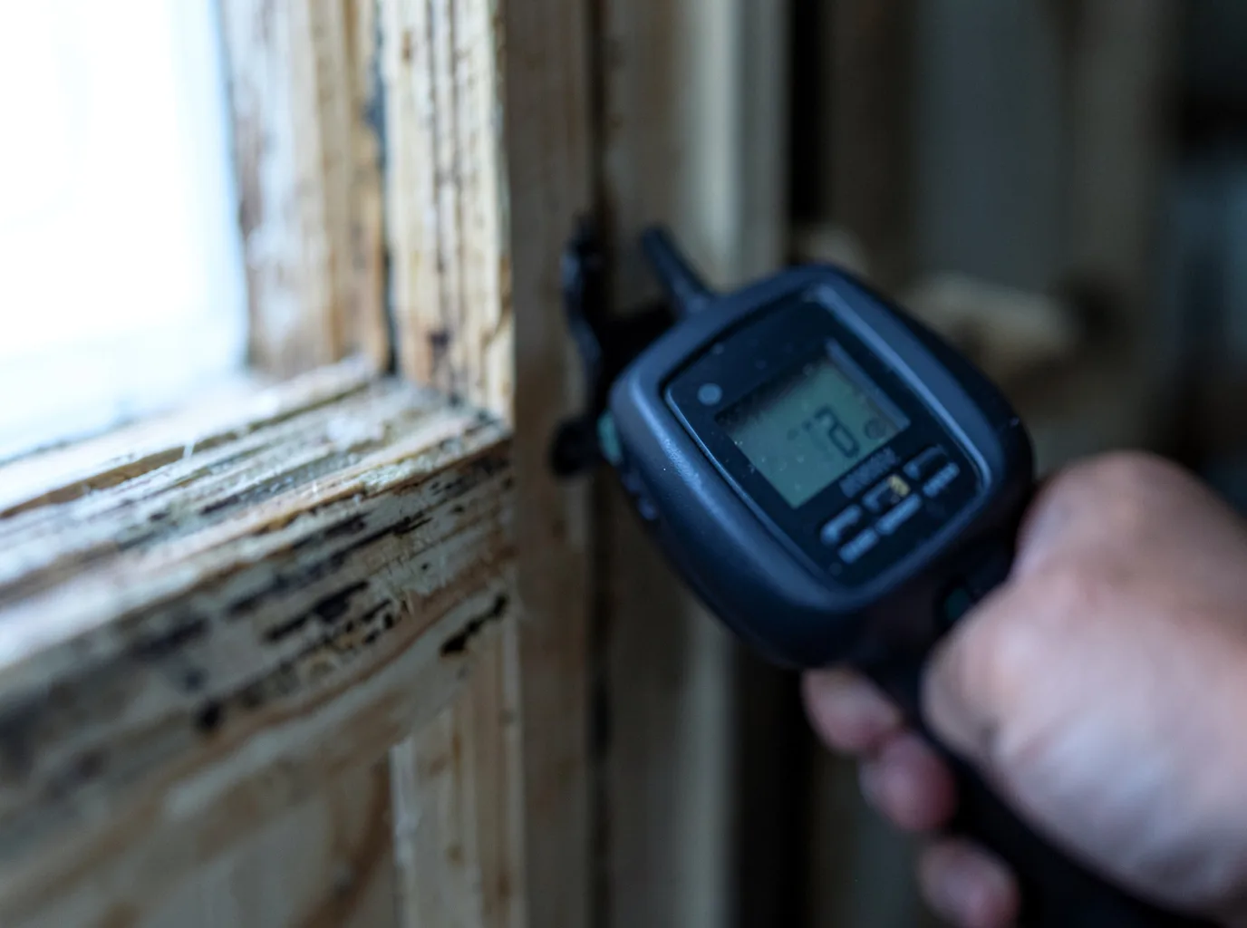 Moisture Inspection And Documentation in Bismarck, IL